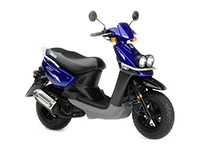 BWS-100