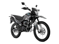 IT-DM-250 X