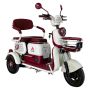 PONY PLUS VELOCIPEDO ELECTRICO ALESSIA / TRI-P03PLUS-RO