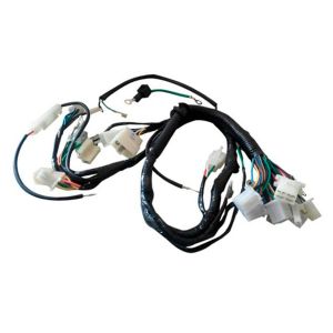 ARNES COMPLETO 12 Vcc / ARN-005