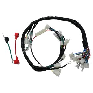ARNES COMPLETO 12 Vcc / ARN-005