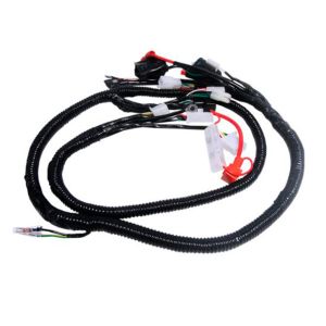 ARNES PRIMARIO 12 Vcc / ARN-006