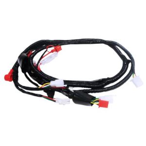 ARNES PRIMARIO 12 Vcc / ARN-011