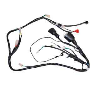 ARNES PRINCIPAL 12 Vcc / ARN-019