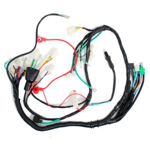 ARNES PRINCIPAL 12 Vcc / ARN-020