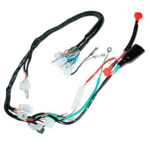 ARNES COMPLETO 12 Vcc / ARN-035