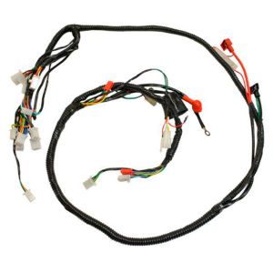 ARNES COMPLETO 12 V / 20 A / ARN-038