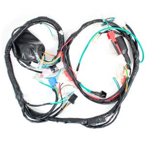 ARNES COMPLETO 12 V / 20 A / ARN-060