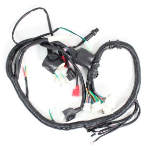 ARNES COMPLETO 12 V / 20 A / ARN-061