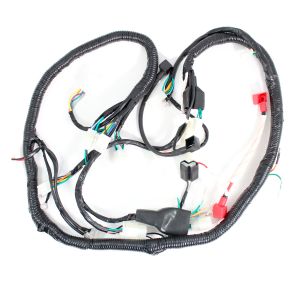 ARNES COMPLETO 12 V / 20 A / ARN-063