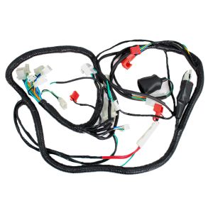 ARNES COMPLETO 12 Vcc / 20 A / ARN-066