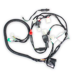 ARNES COMPLETO 12 V / 20 A / ARN-067