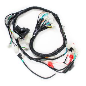 ARNES COMPLETO 12 VCC / ARN-073