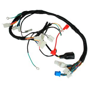 ARNES PRINCIPAL 12 Vcc / ARN-080