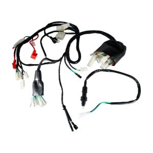 ARNES COMPLETO 12 / ARN-081