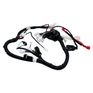 ARNES PRINCIPAL 12 VCC / ARN-084