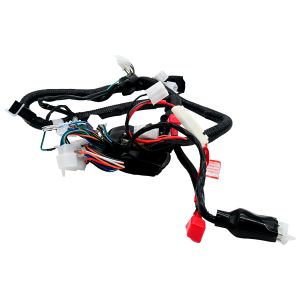 ARNES PRINCIPAL 12 VCC / ARN-085