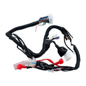 ARNES PRINCIPAL 12 Vcc / ARN-088