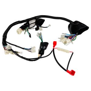 ARNES COMPLETO 12 VCC / ARN-091