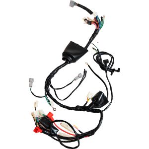 BUEN25  -  ARNES COMPLETO 12 Vcc / ARN-098