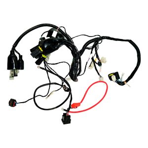 BUEN25  -  ARNES COMPLETO 12V cc / ARN-100