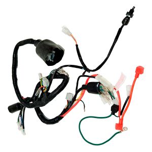 ARNES COMPLETO 12 Vcc / ARN-101