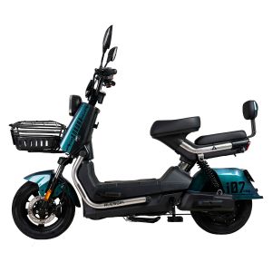 AURORA PRO VELOCIPEDO ELECTRICO ALESSIA VERDE / BIC-i07VE-7220