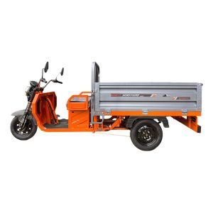 MINOTAURO VELOCIPEDO ELECTRICO ALESSIA / BIC-T6NAGR-7232