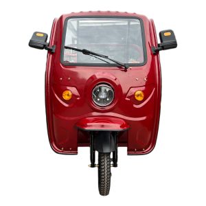 T6 PLUS MINOTAURO VELOCIPEDO ELECTRICO CON TECHO ALESSIA / BIC-T6PLUSRO-7232