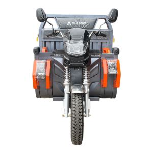 T8 RHINO VELOCIPEDO ELECTRICO ALESSIA / BIC-T8GR-7252