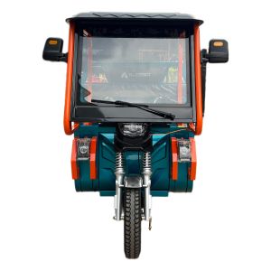 T8 PLUS RHINO VELOCIPEDO ELECTRICO CON TECHO ALESSIA / BIC-T8PLUSAZ-7245