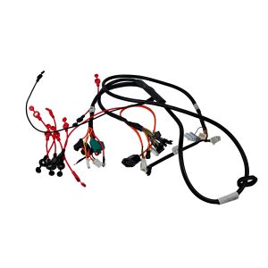 ARNÉS PRINCIPAL COMPLETO  48 V cc / EARN-i001