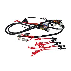 ARNÉS PRINCIPAL COMPLETO  48 V cc / EARN-i002