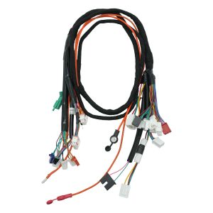 ARNES PRINCIPAL 10A PARA VELOCIPEDO ELECTRICO / EARN-M001