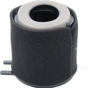 FILTRO DE AIRE ELEMENTO / FIA-081