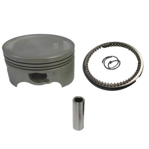 PISTON COMPLETO / PIC-008