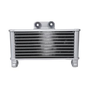 LOCURAS - RADIADOR / RAD-001