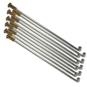 RAYOS CON NIPLE TRASERO 3 / RAY-002