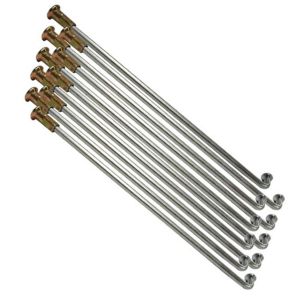 RAYOS INTERIORES / RAY-010