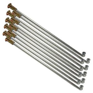 RAYOS CON NIPLE INTERIORES TRASERO / RAY-011