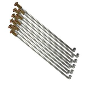 RAYOS TRASEROS INTERIORES Y EXTERIORES 3 / RAY-014