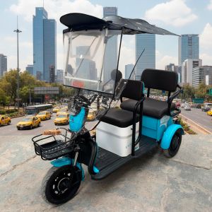 TOLDO SOMBRILLA AZUL REY / TDD-005