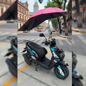 TOLDO ROSA / TDD-007