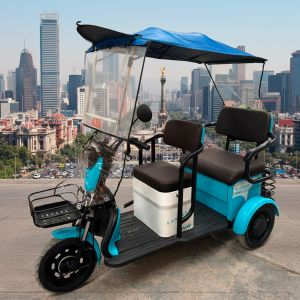 TOLDO SOMBRILLA AZUL LISO / TDD-010