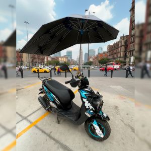 TOLDO  AZUL GATO / TDD-013