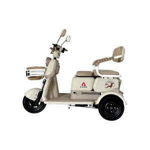 PONY PLUS VELOCIPEDO ELECTRICO ALESSIA / TRI-P03PLUS-BL