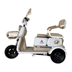 PONY PLUS VELOCIPEDO ELECTRICO ALESSIA / TRI-P03PLUS-GR