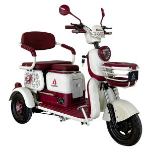 PONY PLUS VELOCIPEDO ELECTRICO ALESSIA / TRI-P03PLUS-RO