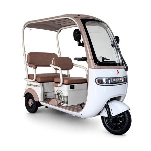 ELEPHANT VELOCIPEDO ELECTRICO ALESSIA / TRI-P07-BL/CF