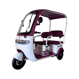 ELEPHANT VELOCIPEDO ELECTRICO ALESSIA / TRI-P07-BL/RO